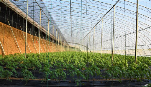 2020年徐州市各县区g_2020年徐州市地图全图(2)