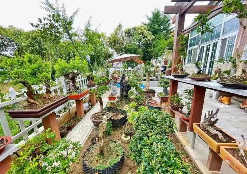 徐州经开区金山桥街道：盯牢“解难题”把实事办到群众心坎上