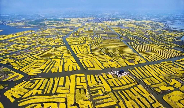 泰州兴化垛田灌排体系入选世界灌溉工程遗产中国候选工程名单