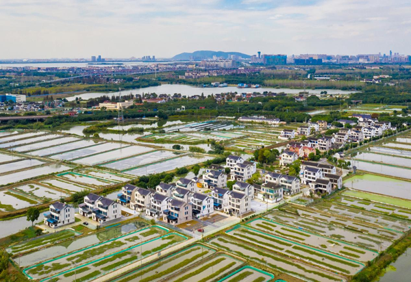 常熟市芦荡村：将生态与自然深嵌于乡村发展中