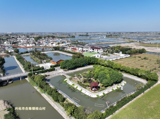 合陈镇奶茶