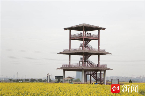 苏州市吴江区同里镇北联村：农业搭台旅游唱戏绘就美丽乡村新画卷