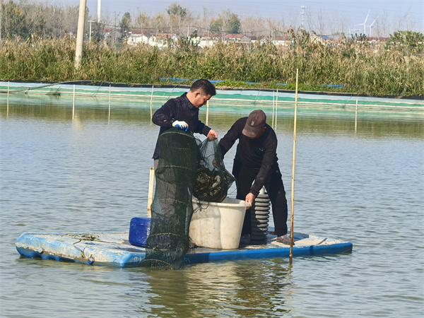 开元棋牌- 开元棋牌官方网站- 开元棋牌APP下载从“投石问路”到“富民兴村”