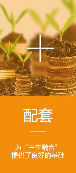 配套