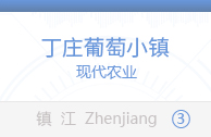 丁庄葡萄小镇