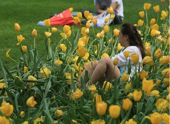 五一祝福语把祝福送给勤劳的人