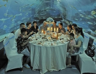 好莱坞艳照门或涉百位女星 劳伦斯裸照遭疯传