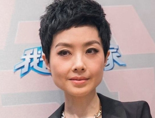 <em>鲁豫新发型</em>引吐槽 BOBO头变超短发显干练(图