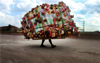 南方降温日 枫叶正红时