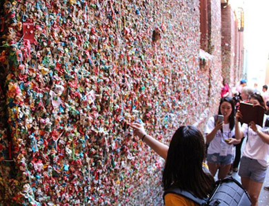 新神雕剧情高能脑洞大开 古墓派被誉蓝翔技校