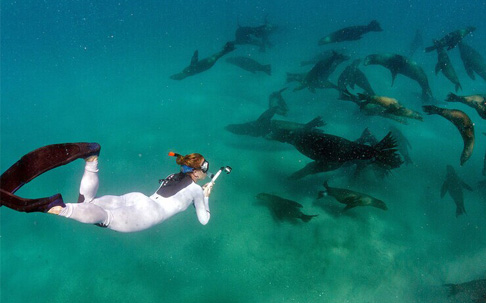 兴业银行兴动力将搭配首款移动支付手环