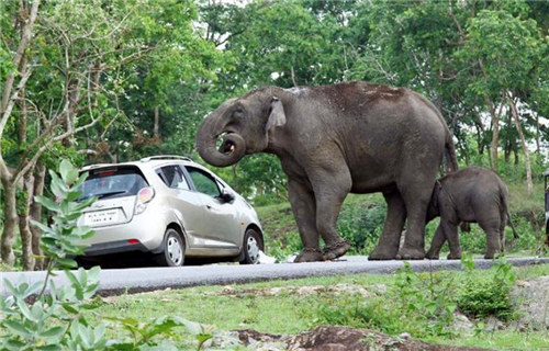 毕业季:用我们的歌致青春
