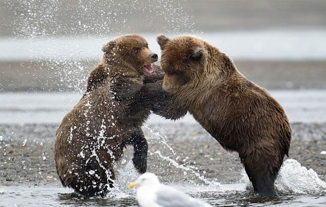 新闻中心_新华网江苏频道