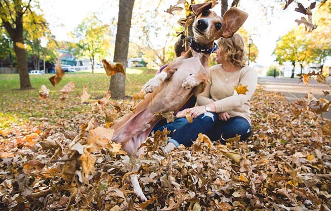 昆山检验检疫局三严三实 专题教育获表彰