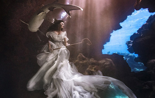 2015年连云港口岸进口煤炭量惨遭腰斩