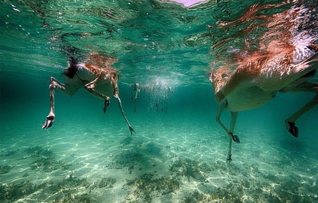 肇事逃逸后的道路交通事故赔偿