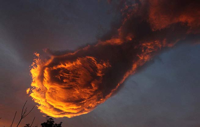 电动平衡车出口企业需积极应对出口质量安全风