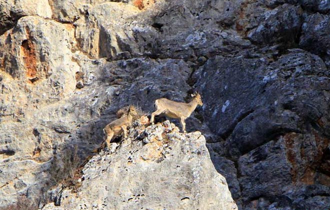 泰州检国检局对特殊物品销售企业进行现场考核