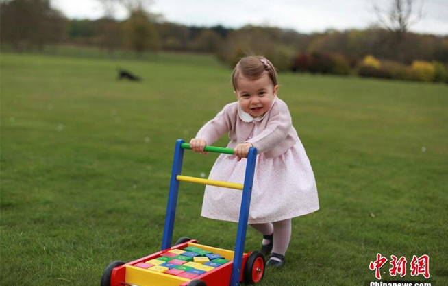 英国夏洛特公主周岁写真 粉嫩小裙子萌萌大眼睛