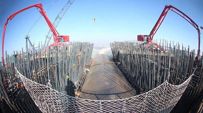 人事任免_新华网江苏频道