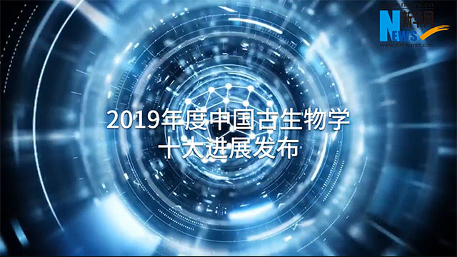 2019年度中国古生物学十大进展发布
