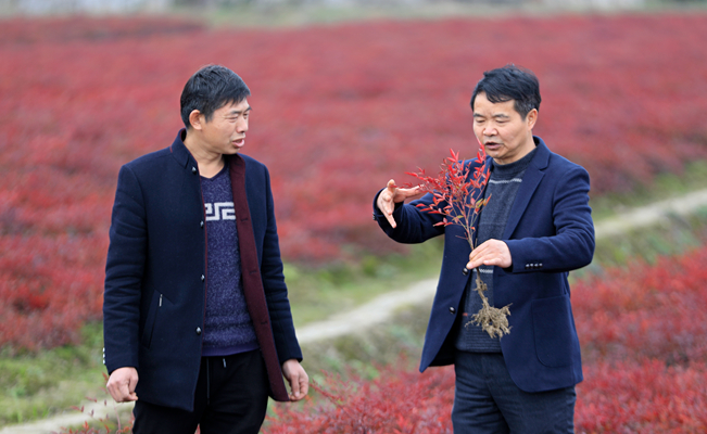 我为&ldquo;十四五&rdquo;之&ldquo;乡村振兴&rdquo;点赞|欧阳华：生态立村、文化强村、旅游富民