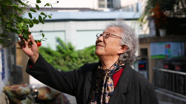 心系古迹，92岁奶奶与南京结缘