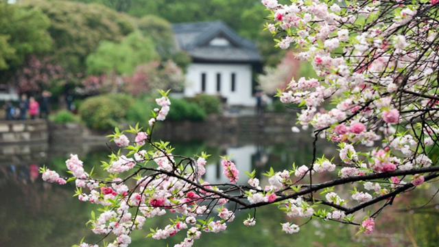 一分钟数读江苏清明文旅消费破百亿