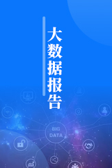 大数据报告