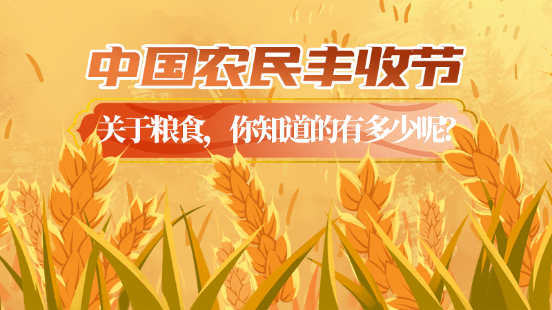 中国农民丰收节丨关于粮食，你知道的有多少呢？