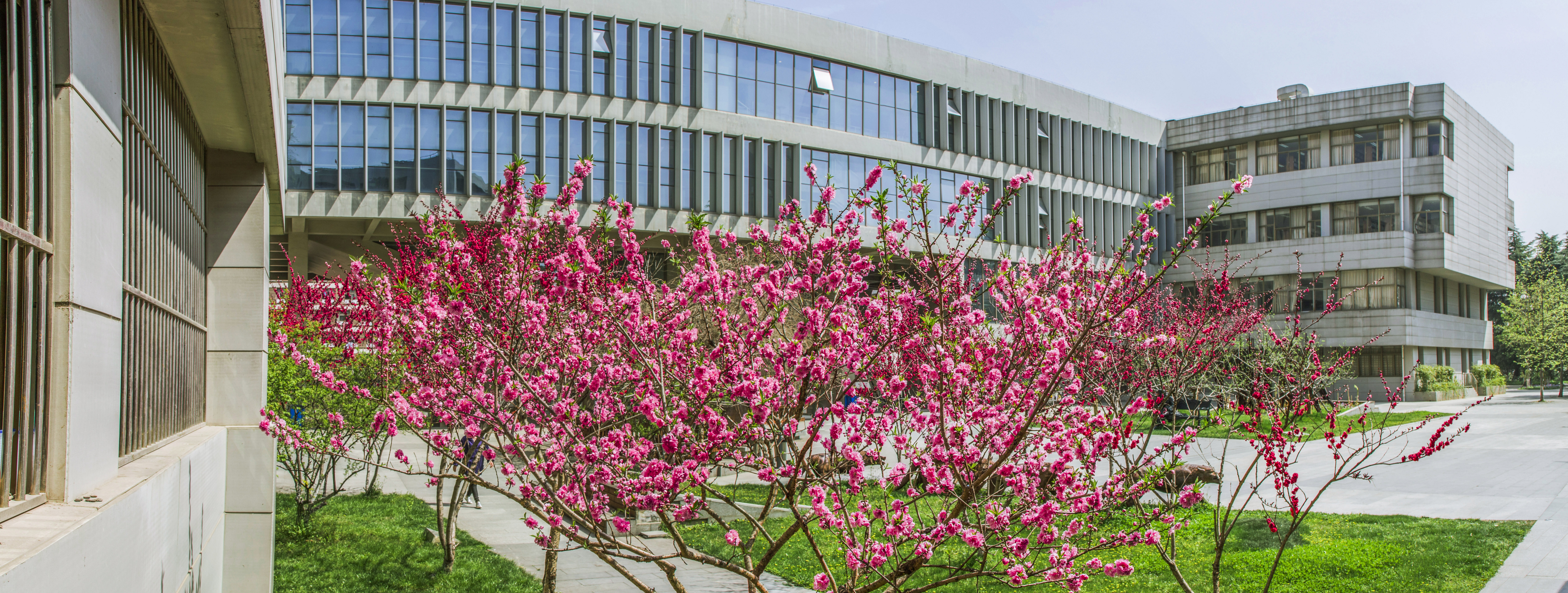 新华网：2021年，南京艺术学院入选江苏省高水平大学建设行列。围绕高水平大学建设和学校事业高质量发展，南艺如何发挥学科特色，主动适应数字化时代发展要求，积极探索，不断创新，开创高等艺术教育的新局面？