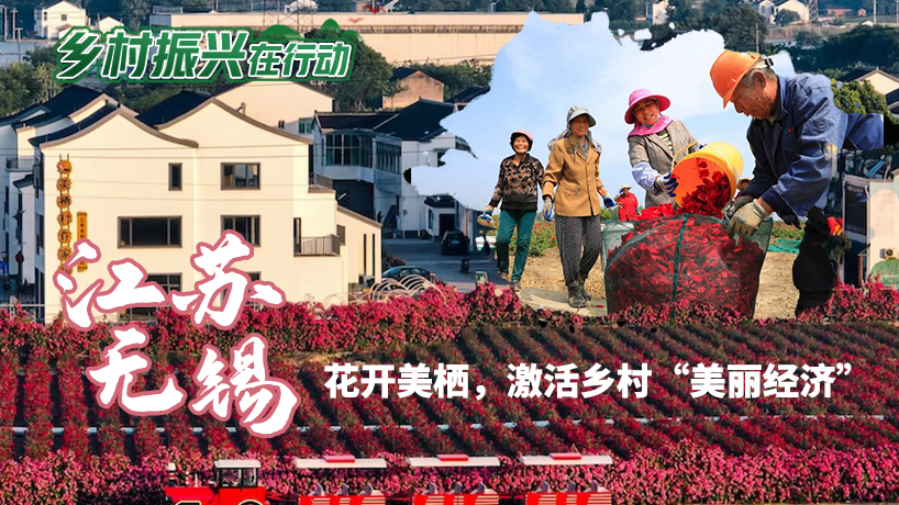 乡村振兴在行动|江苏无锡：花开美栖，激活乡村“美丽经济”