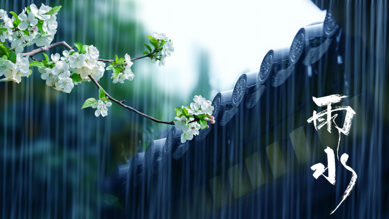 今日雨水丨随风潜入夜 润物细无声