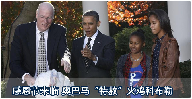 感恩节来临 奥巴马特赦火鸡科布勒