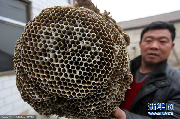 新华网江苏频道