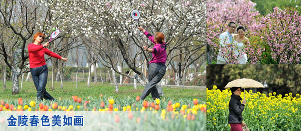 图片新闻-新华网江苏频道