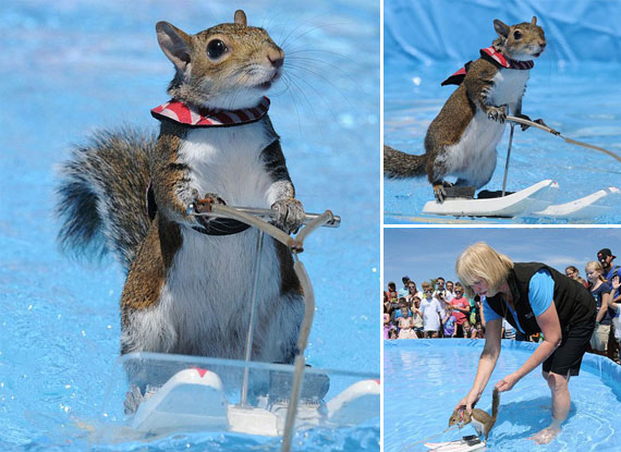 农行江苏分行支持大学生<em>村官</em>创业成绩斐然