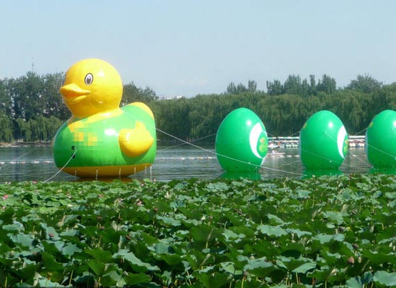 绿马甲大黄鸭\u201dPK大黄鸭_图片频道_新华网江苏