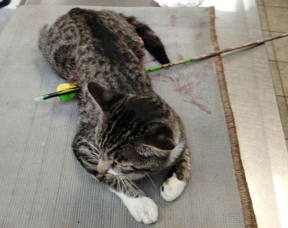 奇趣怪谈-图片频道-新华网江苏频道