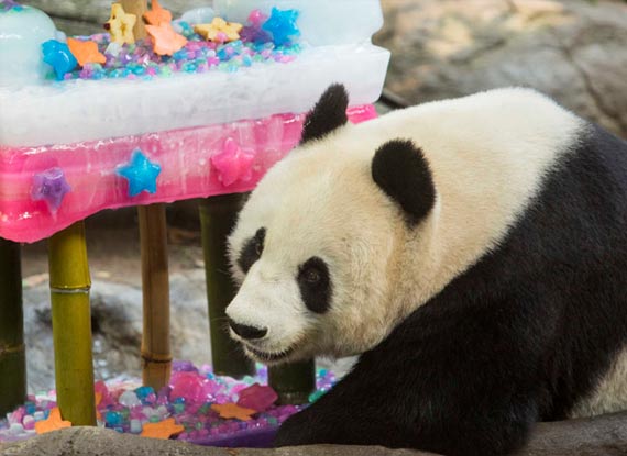 奇趣怪谈-图片频道-新华网江苏频道