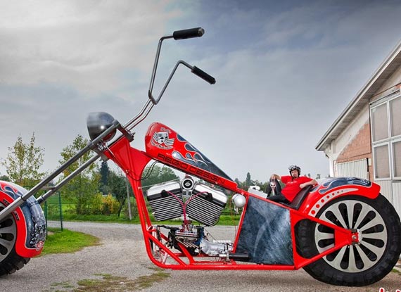 奇趣怪谈-图片频道-新华网江苏频道