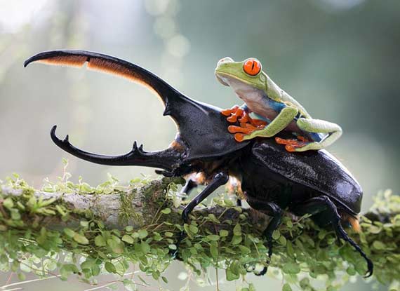 探索世界-图片频道-新华网江苏频道