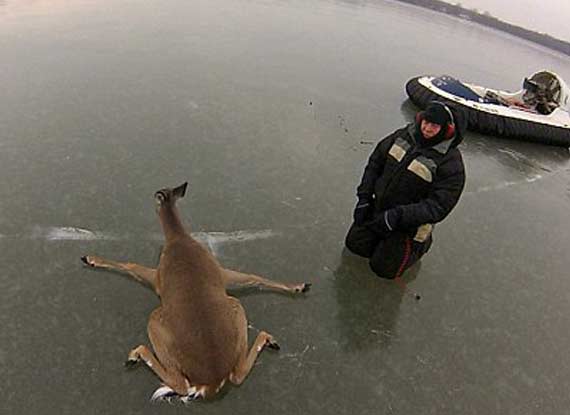 <em>处女</em>座2014年运势