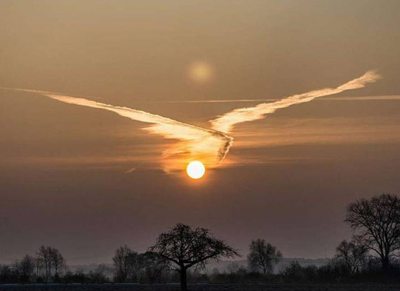 江苏省工商局局长王元慧就新《消费者权益保护